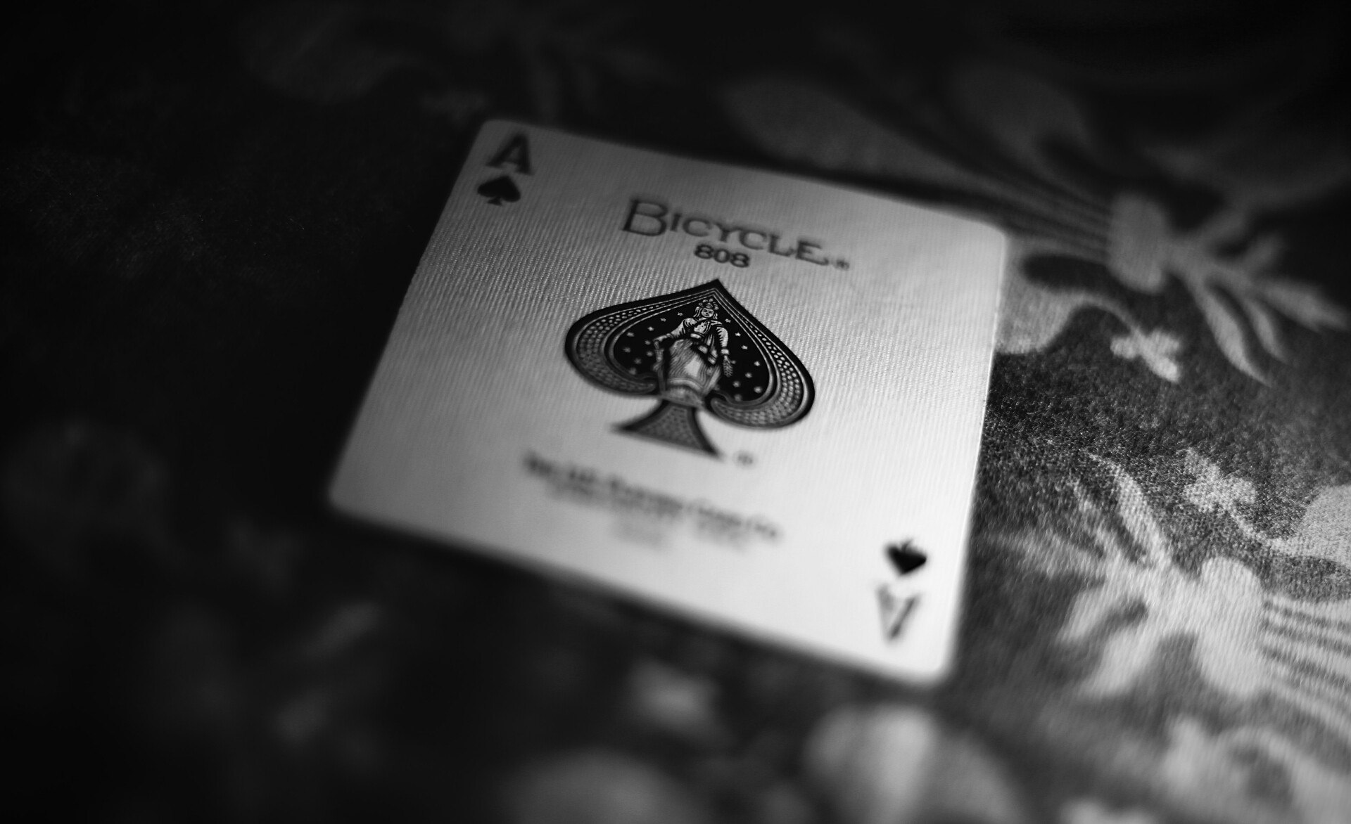 Purple Garden Review