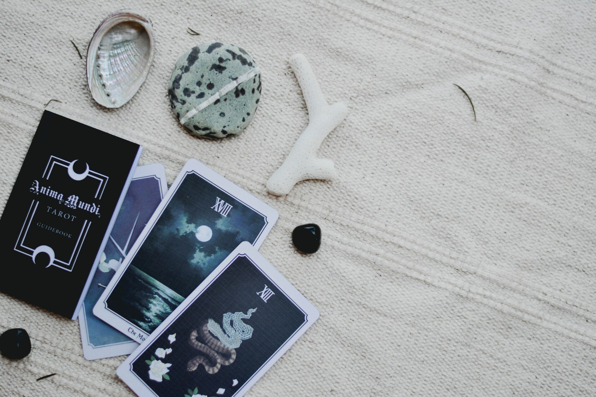 Path Forward Psychics Review